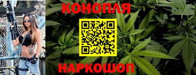прущие грибы Сосновый Бор