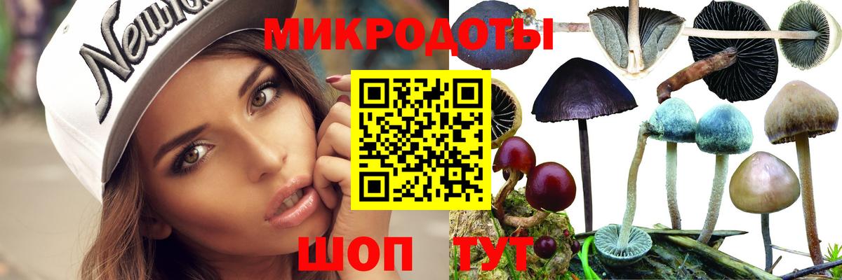 Галлюциногенные грибы GOLDEN TEACHER  Вход с VPN  Ноябрьск 